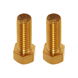 Brass Bolts