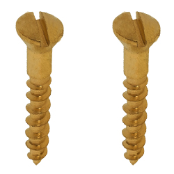 Brass Screws