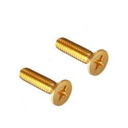 Brass Screws