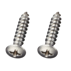 Stainless Steel Screws