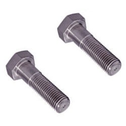 Stainless Steel Screws