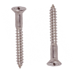 Stainless Steel Screws